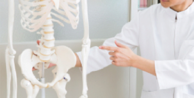 骨格標本、統合医療のイメージ